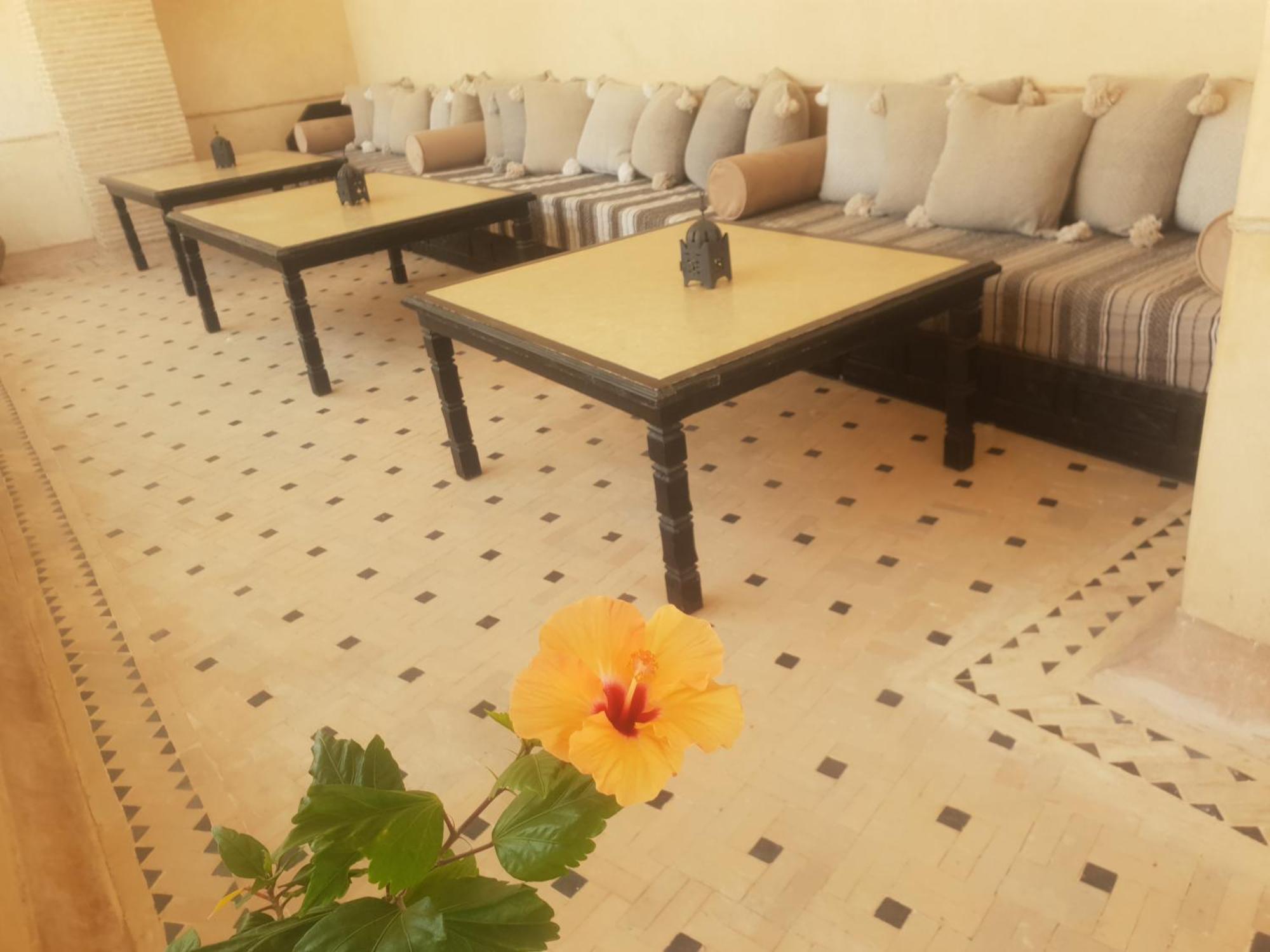 Riad Dar Haven Tamraght Екстериор снимка