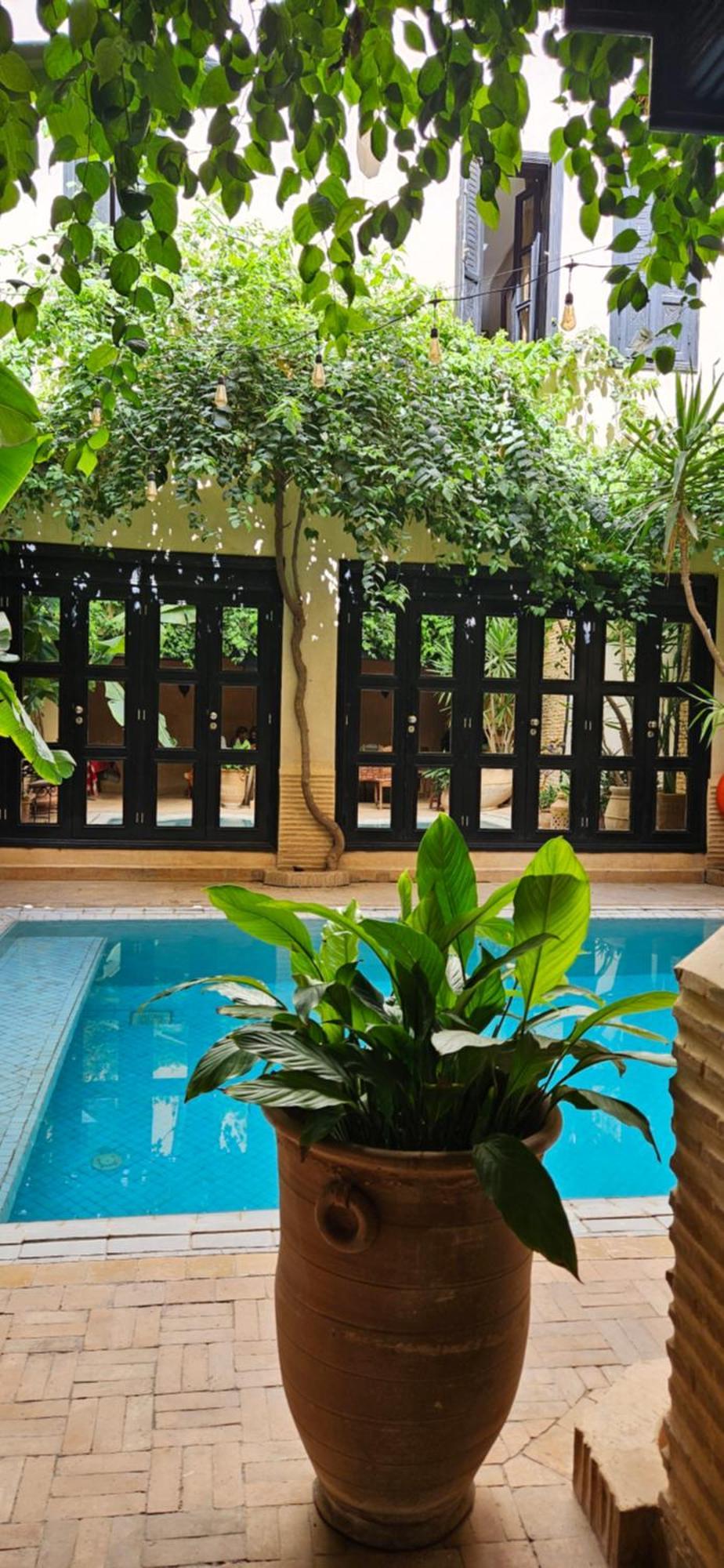Riad Dar Haven Tamraght Екстериор снимка